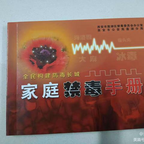 增强群众的“识毒、防毒、拒毒”意识，桃园三坊社区禁毒宣传活动