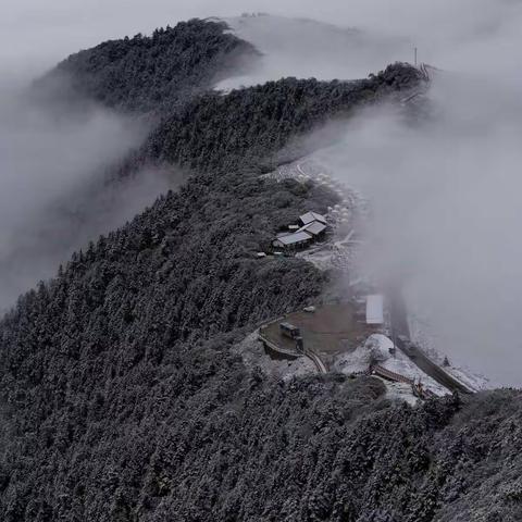 《雪山·草甸》