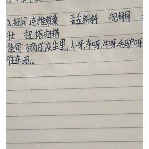 小树叶的美篇