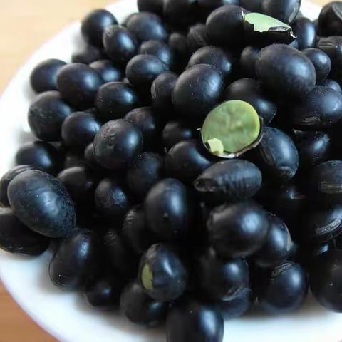 预防瘟疫的“扁鹊三豆汤”“乌梅白糖汤”