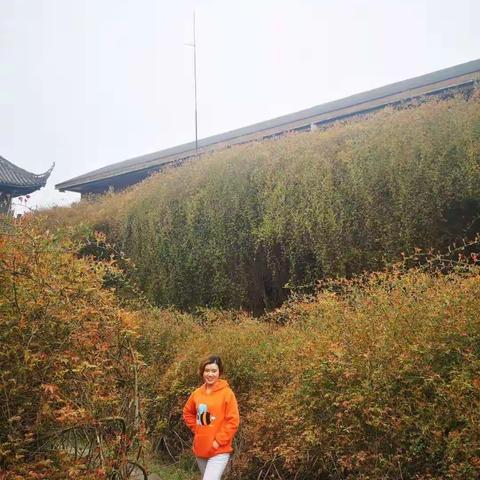 【2019年3月5日《拓训》的这一天】