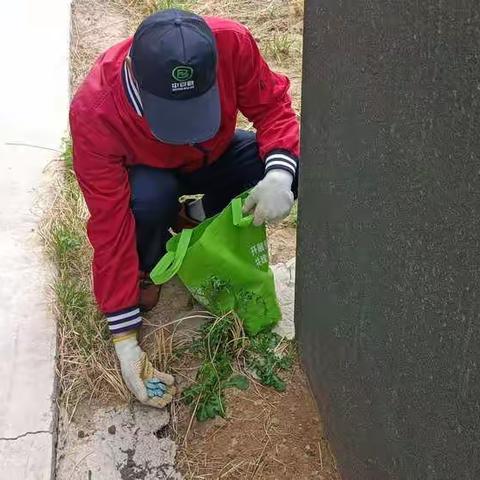 中百欧(北京)病媒生物环境科技有限公司于2022年4月20号对海淀区上地行道东里二区进行灭鼠，灭蟑防制