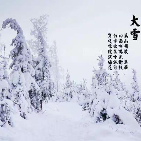 初心如雪见天地，静候寒去万物生