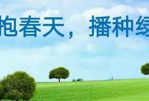 “植树节”——拥抱春天，播种绿色！