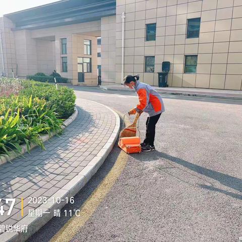 碧锐华府小区十月份工作汇报