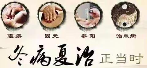 曹文轩冬病夏治三伏贴