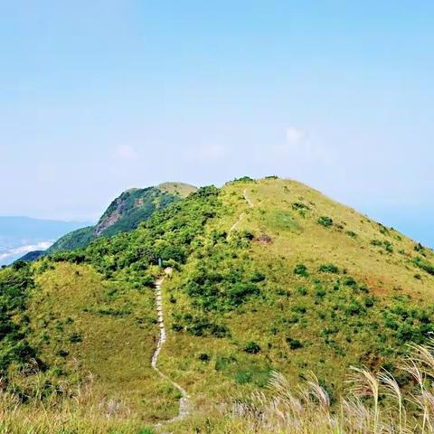 读《你当像鸟飞往你的山》记