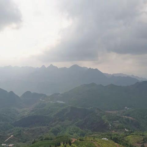 华为手机随拍