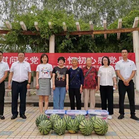 【筑梦宝塔  智联杨家岭】  一听一学践初心    一菜一瓜感党恩———杨家岭片区主题党日活动