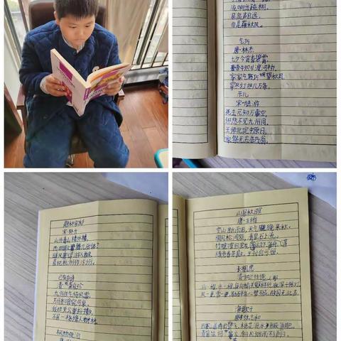 24日语文作业