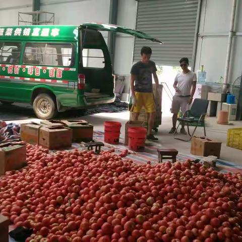 地产菜直采，促农增收！