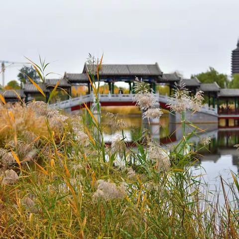 秋游西海子公园