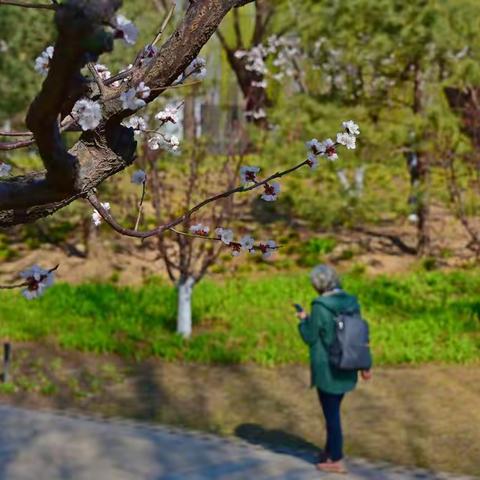 初春游元大都遗址公园