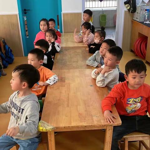 👶宝贝的一周生活🍀