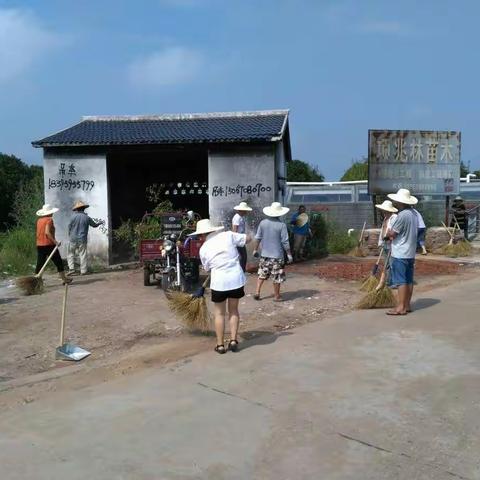 党群合力，共建美丽家园 ——中戴村垃圾分类卫生整治纪实