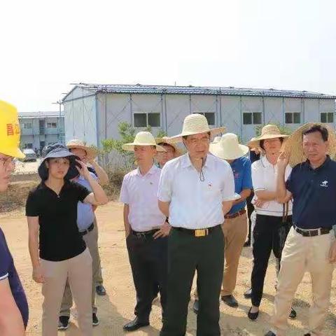 县委书记黄金城调研“多馆合一”项目推进情况