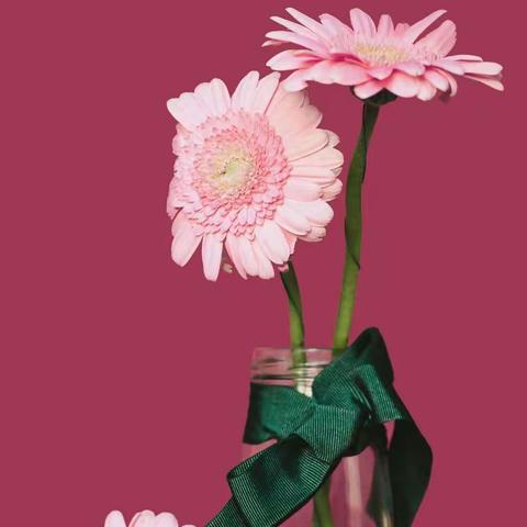 甜甜午托暑假班开始招生了