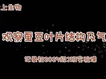 记录初2025级3班七上生物实验课（荣昌区峰高初级中学）