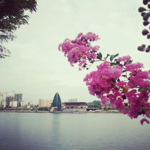 清晨