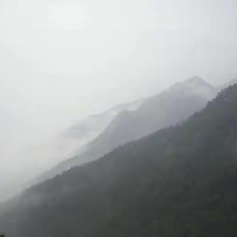 雨中登泰山，别有一番滋味！