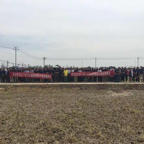 研讨杂草抗性治理 稻青青盐淮大放光彩