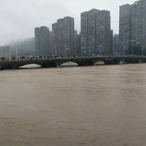 浏阳市抗击洪灾纪实。