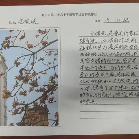 2023清明节综合实践作业展