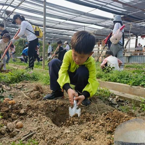 植此青绿，树绿色理想。一（6）班植树活动