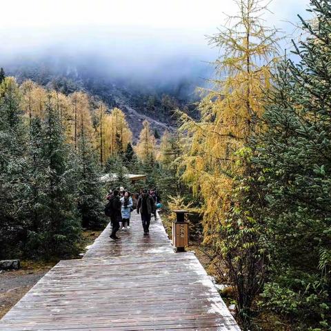 川西之旅—四姑娘山风景区双桥沟