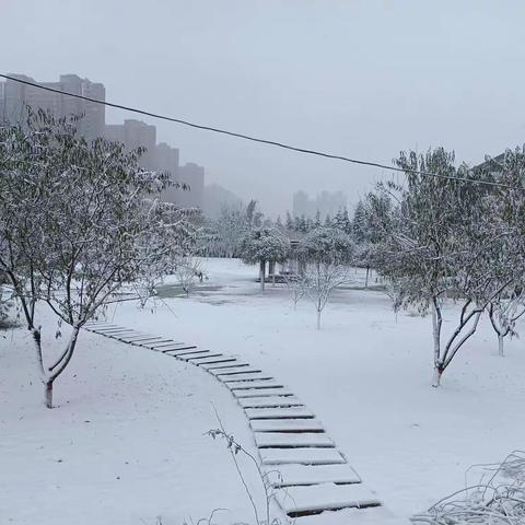 今日立冬，初雪