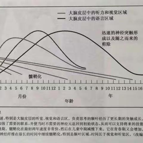 优贝乐.创思课程：通过游戏引导孩子思维进阶