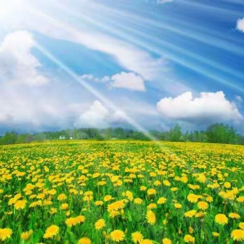 【林州郭晓莉名师工作室】宅在家里，让我们动起来一一五年级综合实践话动纪实