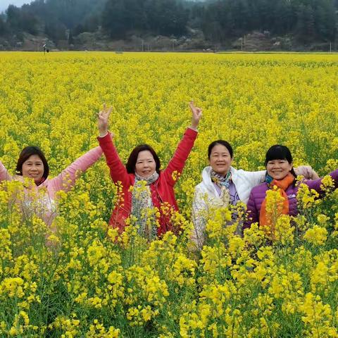 又到春花烂漫时