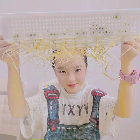 🌱豆子发芽记🌱