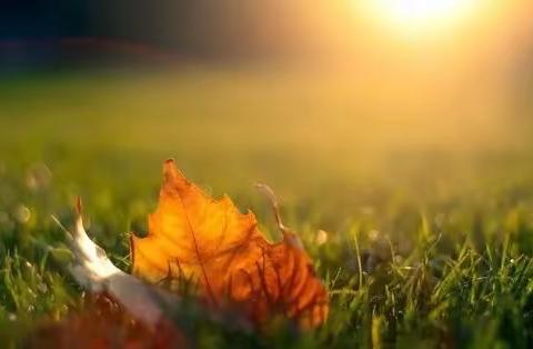 追着彩虹跑的孩子的美篇