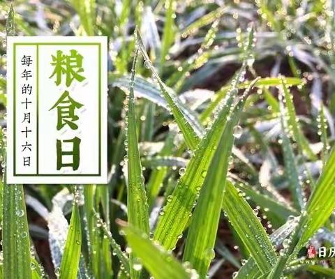 珍爱粮食，争做粮食的卫士，_五十五中学世界粮食日主题活动