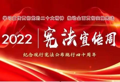 法治教育伴成长 宪法宣传进行时——儿童福利院雁阵在行动