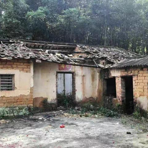 妈妈:节日快乐