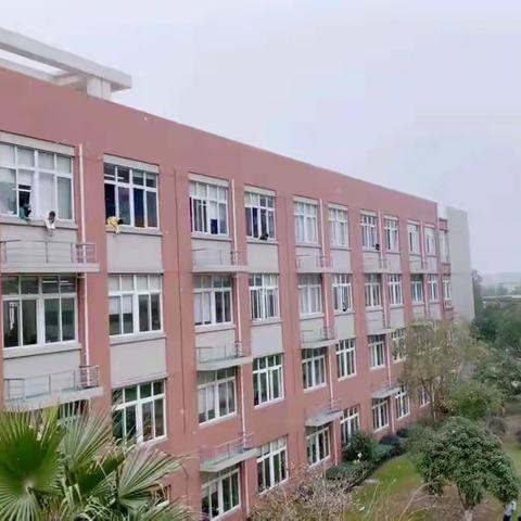 ❄️2021年的第一场雪❄️