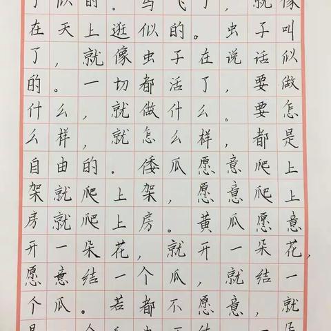 逸夫小学五5班书法，一个都不少。