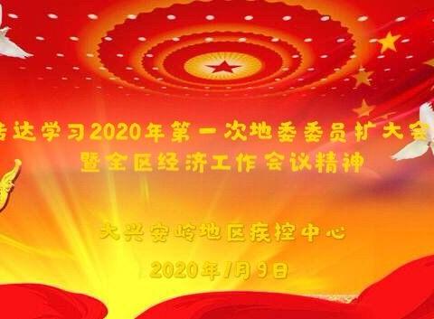 地区疾控中心专题传达学习2020年第一次地委委员扩大会议暨全区经济工作会议精神