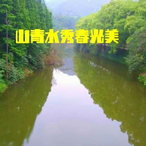 早春踏青随笔