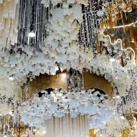 虎年虎崽虎虎生威——记梦艺琴屋2022汇报音乐会