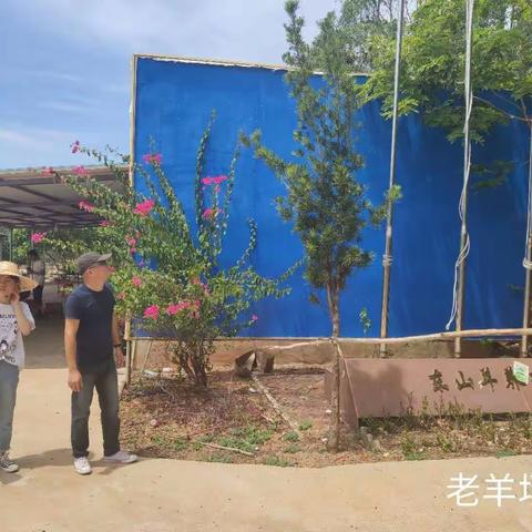 【海头镇政府】扶贫办到小康合作社监督检查（四）