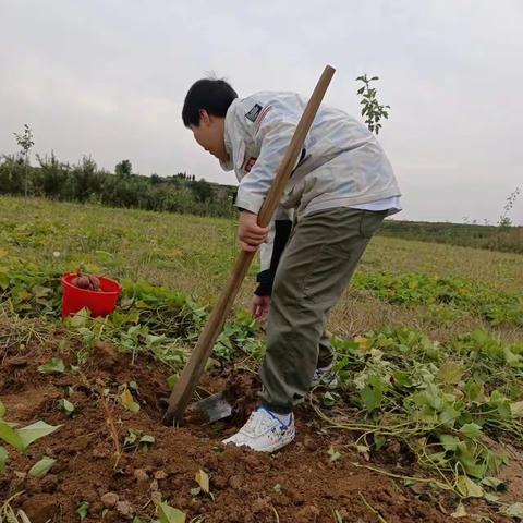 我是田园小能手