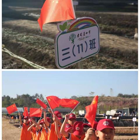 童心向党迎国庆 护苗育苗亮风采——大司巷小学三（11）班彩虹二组劳动实践活动！