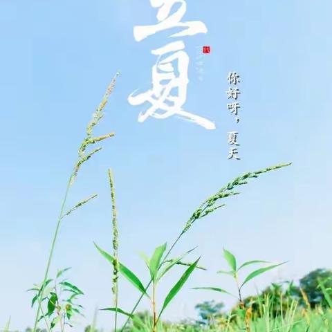 快乐立夏，欢乐一夏——姚幼24节气之立夏