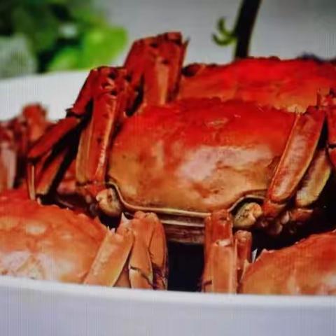 最美不过吃螃蟹