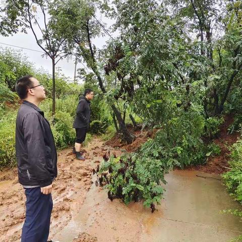三门峡市人社局驻村工作队实地走访查看汛期村民房屋及道路安全情况