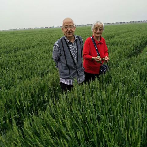 陪岳父岳母游卤阳湖和同洲湖